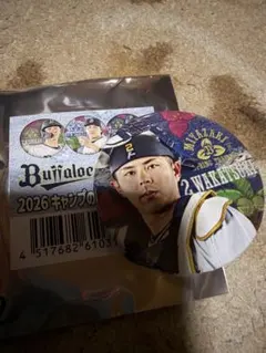 ✌︎('ω')✌︎mikaryon✌︎様 リクエスト 2点 まとめ商品