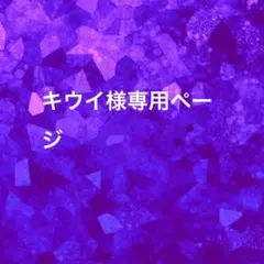 キウイ様専用ページ