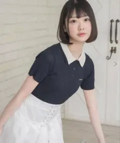 2枚襟ケーブルNTPO