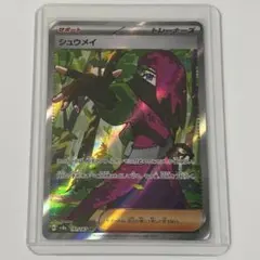 シュウメイ SR SV8a テラスタルフェスex 191/187