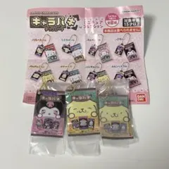 サンリオキャラクターズ キャラパキ ミニチュアコレクション