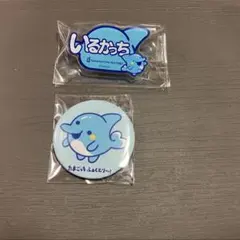 たまごっちふぁくとり〜！ いるかっち アクリルおなまえバッジ 缶バッジ