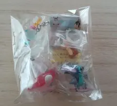 ディズニーキャラクター　めじるしアクセサリー　Summer　4点セット