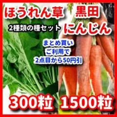 なおちゃん様 リクエスト 3点 まとめ商品