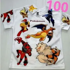ポケモン ピカチュウ リザードン イーブイ Tシャツ 半袖 110