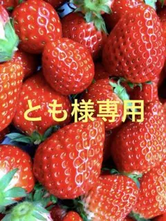 とも様専用