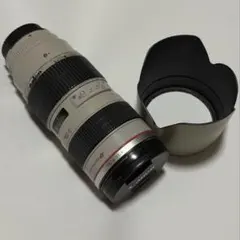 お*り様 canon EF400mm F5.6L USMメーカー修理済み 野鳥作 - メルカリ