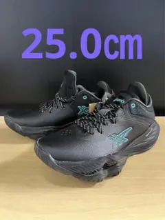 Item thumbnail for item 773a597a-5827-4ed5-9983-d65b042d2034