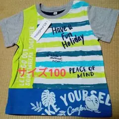 エルフィンドール　カラフルTシャツ　男の子　サイズ100のサムネイル