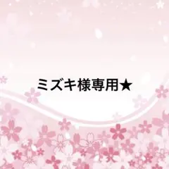 ミズキ様専用★