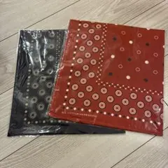 Item thumbnail for item b530bac2-e305-4ab3-ad6f-dbb1436fae37