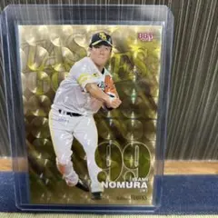 Item thumbnail for item 03521af8-826c-400f-aa12-d8d16e438b09