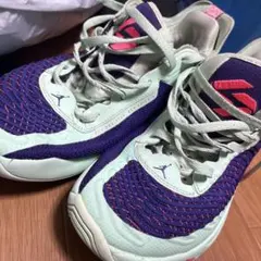 Jordan Luka 2 PF Mint Foam鑑定済 - メルカリ