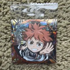 にふぉるめーしょん 劇場版ハイキュー!! ゴミ捨て場の決戦 日向翔陽