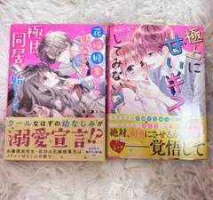 野いちご文庫 2冊セット 溺愛同居 極上に甘いキス