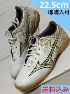 Mizuno フットサルシューズ 22.5cm 即購入可　送料込み
