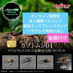 カブトムシ04 ディスプレイスタンド＆樹皮台座（中）セット 全3種 