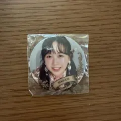 FRUITS ZIPPER 松本かれん 缶バッジ