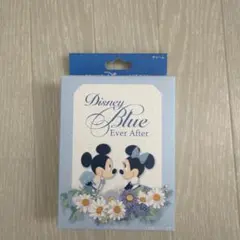 ディズニーブルーエバーアフター ブレスレット、チャームBOX2点セット