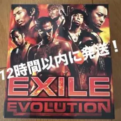 オカザイルポスター - メルカリ