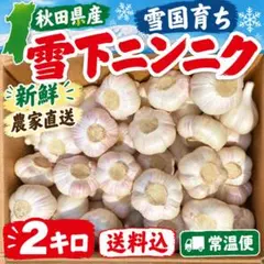 秋田県産 雪下ニンニク 3kg 農家直送 常温便　福地ホワイト 秋田県産 雪下ニンニク 3kg 農家直送 常温便 福地ホワイト - メルカリ