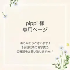 pippi様 おまとめ5点
