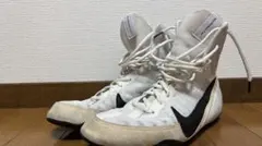 Item thumbnail for item d5c2c527-a903-4b8e-8a20-503384866814