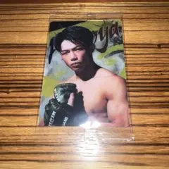 Item thumbnail for item c8fef5da-2d0d-4a88-8f03-b8ab20ae02ca