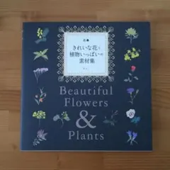 Item thumbnail for item 08c4e46b-64e9-456f-9dd8-2dd1b56b4f96