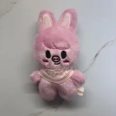 SKZOO ぬいぐるみ チャンビン Stray Kids SKZOO Changbin DWAEKKI Plush doll Original Ver