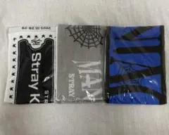 straykids マフラータオル MANIAC 5-star 東京 埼玉