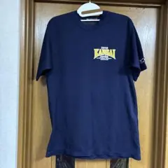 Item thumbnail for item 9622527b-6d35-4a2c-8f52-47613d78a3e0