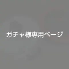 【ガチャ様専用ページ】調理器具 2点セットのサムネイル