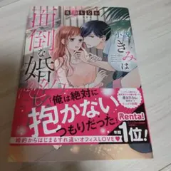 小説 きみは面倒な婚約者
