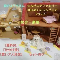 希少・資料付】20年前シルバニア豪華セットレア人形＆しまむら限定含 