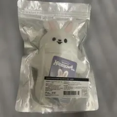 StrayKids SKZOO フォトカードホルダー リービット leebit