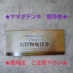 ヤマダデンキ　優待券　5000円分