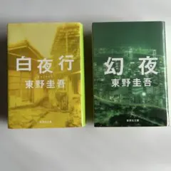 東野圭吾 文庫本 2冊セット 白夜行 幻夜