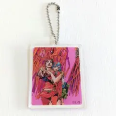 ジョジョの奇妙な冒険　ジョジョリオン　8部　アクキー