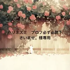 ハリネズミ　プロフ必ず必読下さいませ。 様　専用