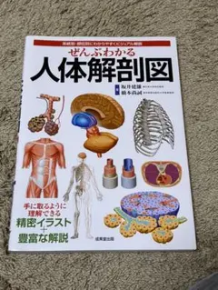 Item thumbnail for item 2f3eadad-dda2-44da-8952-39bfc4869d8c