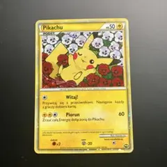 希少ポケモンカード ピカチュウ ポーランド ワールドコレクション 2010