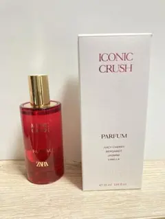 ZARA アイコニッククラッシュのサムネイル