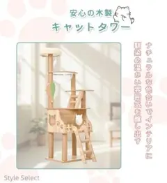 Item thumbnail for item 18f2e34a-bbaa-4a09-a642-8b2211212737