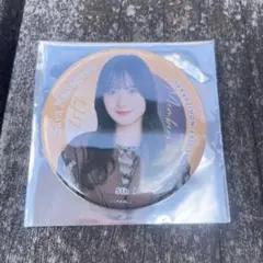 Item thumbnail for item 576c0423-a886-480d-9d18-f3835679b3fb