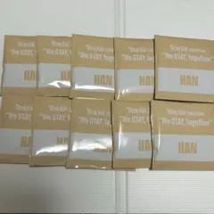 straykids EXHIBITION 展覧会 アクスタ ハン 新品未開封