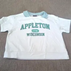 lovetoxic APPLETON WISCONSIN Tシャツ SS