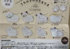 ホワイト様　専用