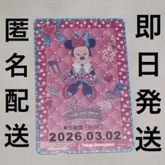 【コレクション用】 ミニーファン　ミニパル フリー切符　使用不可　期限切れ