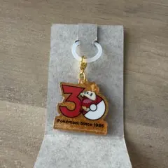 新品 ポケチャーム ポケモン30周年ロゴマスコット 2 ホゲータ